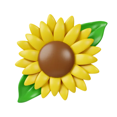 Flores do sol  3D Icon