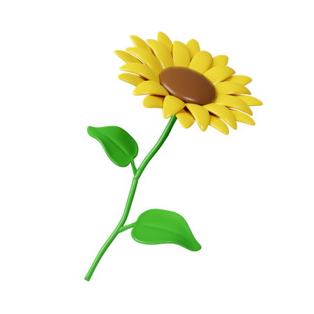 Flores do sol  3D Icon