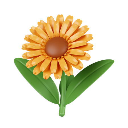 Flores do sol  3D Icon