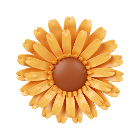 Flores do sol  3D Icon