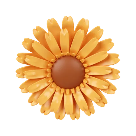 Flores do sol  3D Icon