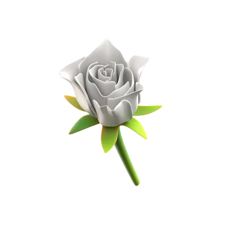 Flor de rosas blancas  3D Icon