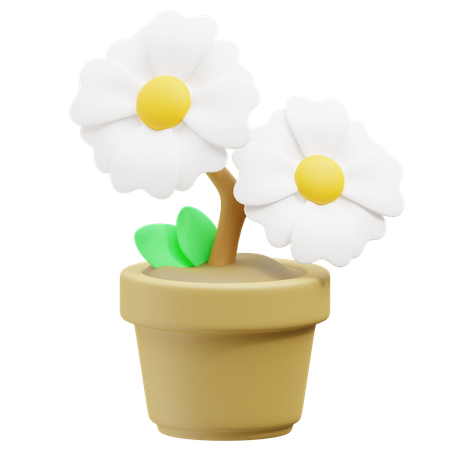 Flower  3D Icon