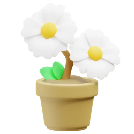 Flower  3D Icon