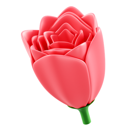 Flower  3D Icon