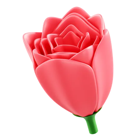 Flower  3D Icon