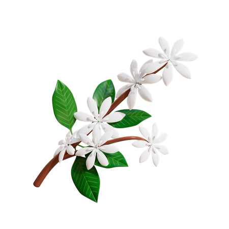 Flower  3D Icon