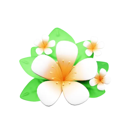 Flower  3D Icon