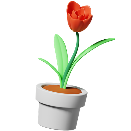 Flower  3D Icon