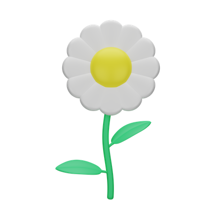 Flower  3D Icon