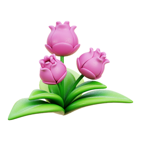 Flower  3D Icon