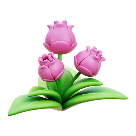 Flower  3D Icon