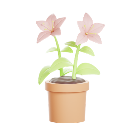 Flower  3D Icon