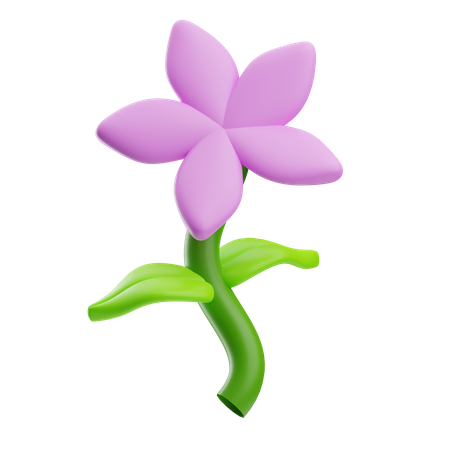 Flower  3D Icon