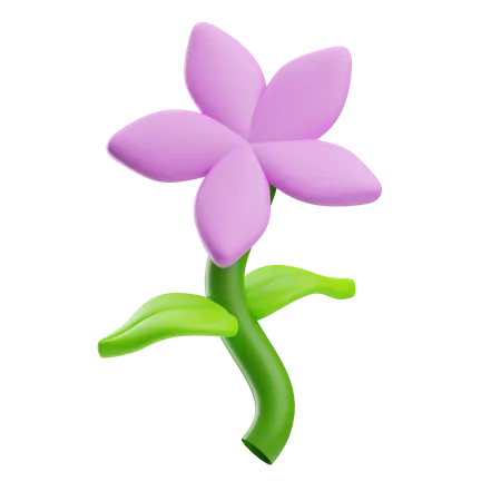 Flower  3D Icon