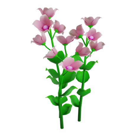 Flower  3D Icon