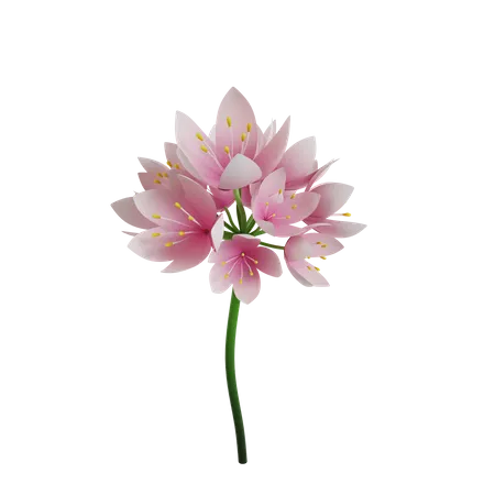 Flower  3D Icon