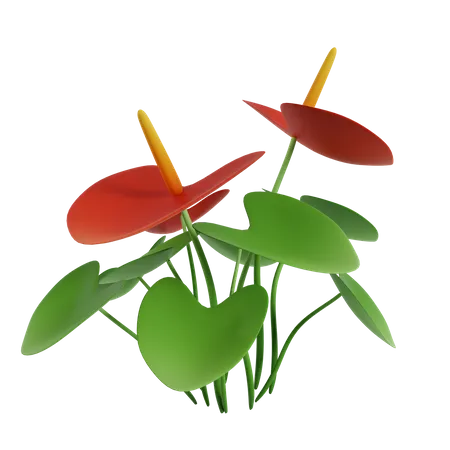 Flower  3D Icon