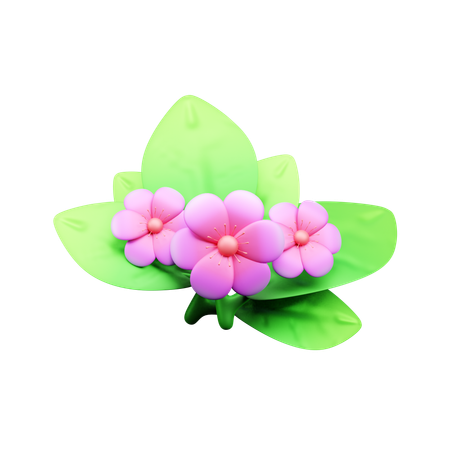 Flower  3D Icon