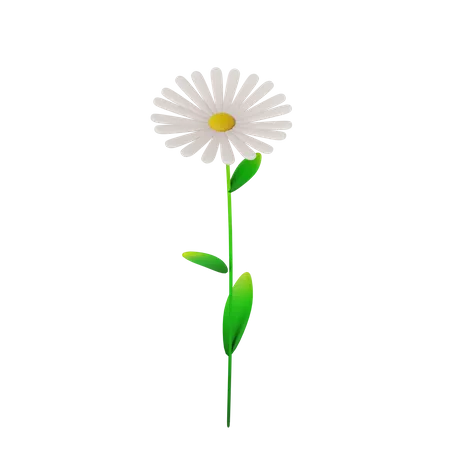 Flower  3D Icon