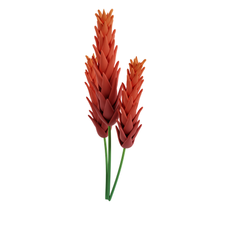 Flower  3D Icon