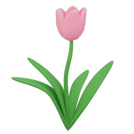 Flower  3D Icon