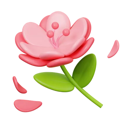 Flower  3D Icon