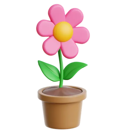 Flower  3D Icon