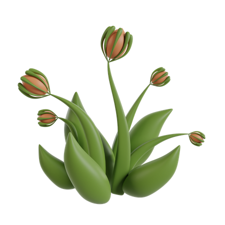 Flower  3D Icon