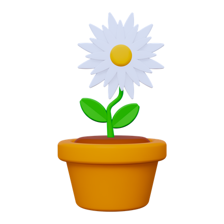 Flower  3D Icon