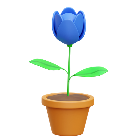 Flower  3D Icon