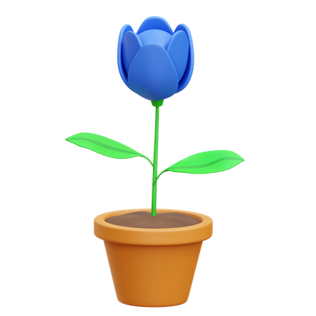 Flower  3D Icon