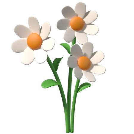 Flower  3D Illustration