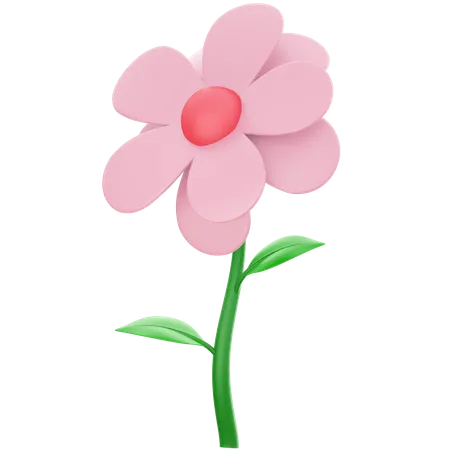 Flower  3D Illustration