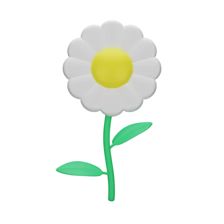 Flower 3 D Spring 3D Icon