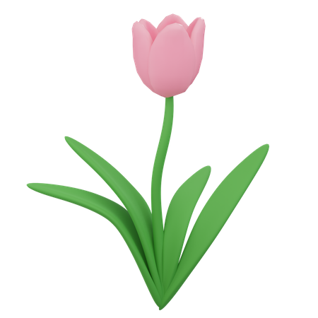 Flower 3D Icon