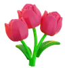 Flower Blossom Tulip