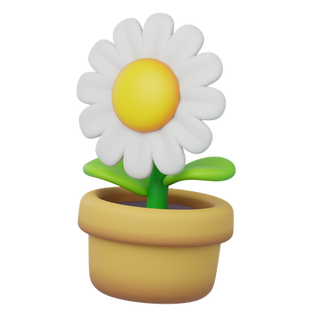 Flower Daisy  3D Icon