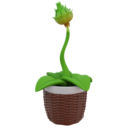 Flower Kuncup Pot 3D Icon