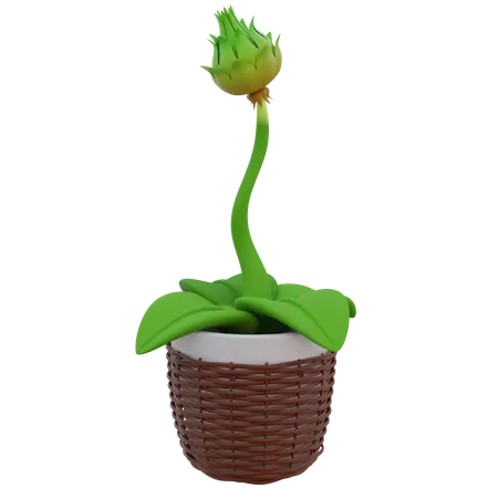 Flower Kuncup Pot 3D Icon