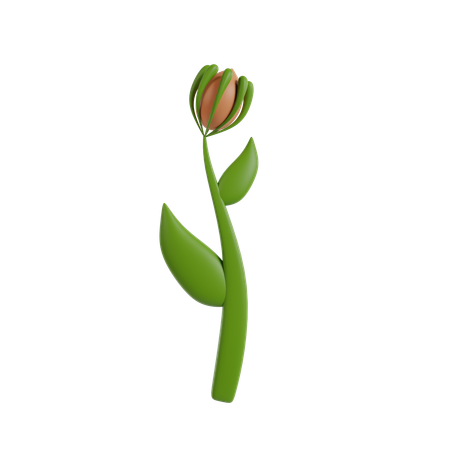 Flower Plant  3D Icon