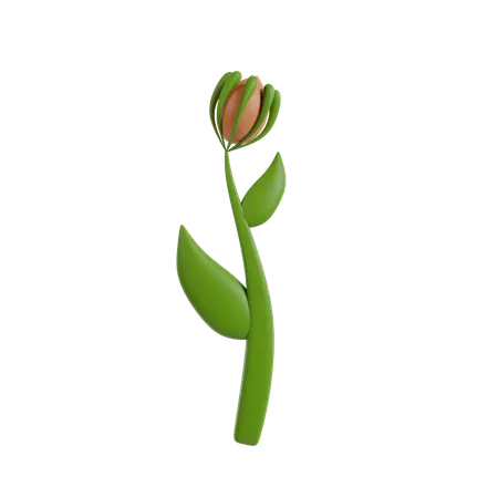 Flower Plant  3D Icon