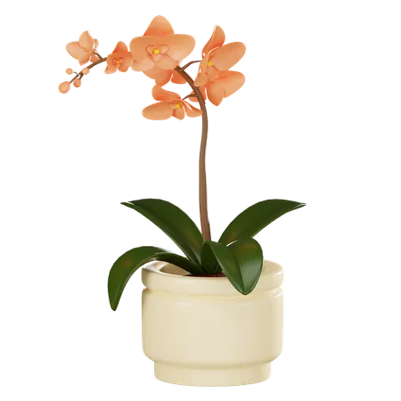 Orchid In A Pot Perfect For Adding A Touch Of Elegance To Interior Decor Bringing The Vibrant Allure Of Botanical Beauty Into Any Space 3 D Render Illustration 3D Icon