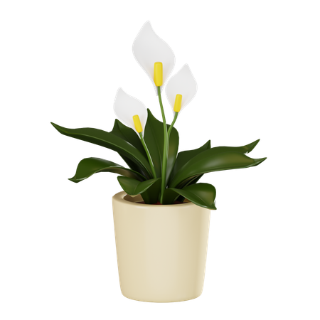 Flower Plant Pot  3D Icon