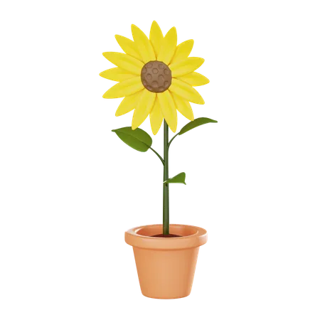 Sunflower In Pot Perfect For Nature Lovers And Home Decor Themes This Vibrant Icon Brings Touch Of Summer And Greenery To Any Project 3 D Render Illustration 3D Icon
