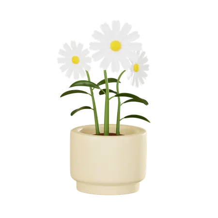 Vibrant Daisy In A Pot Perfect For Decorating Home Interiors Gardening Projects And Adding A Touch Of Floral Elegance To Your Visual Content 3 D Render Illustration 3D Icon
