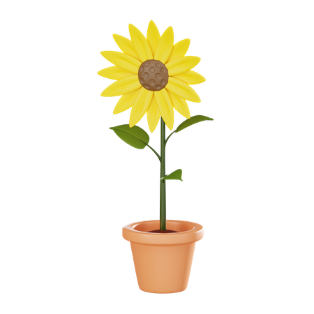 Flower Plant Pot  3D Icon