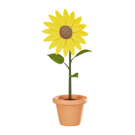 Flower Plant Pot  3D Icon