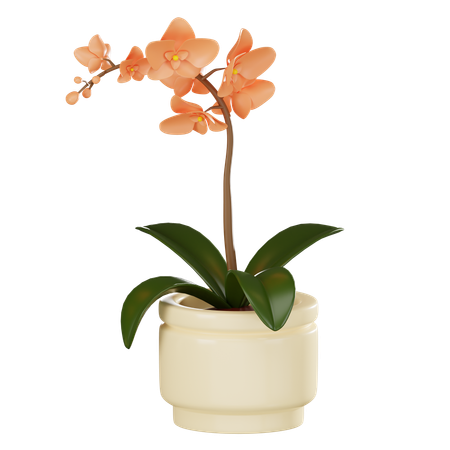 Flower Plant Pot  3D Icon