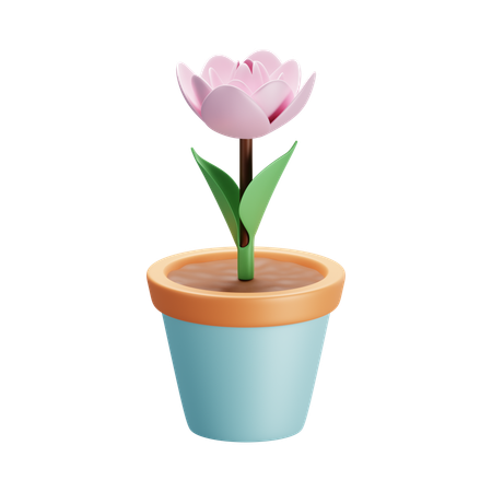 Flower pot  3D Icon